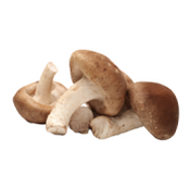 Organic shiitake mushroom
