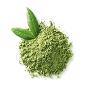 Green tea extract