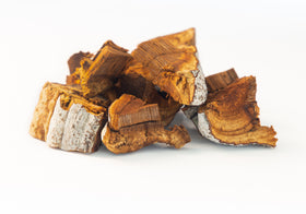 Chaga