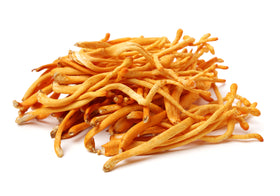 Cordyceps