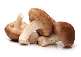 Shiitake mushrooms