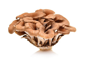 Maitake Mushroom