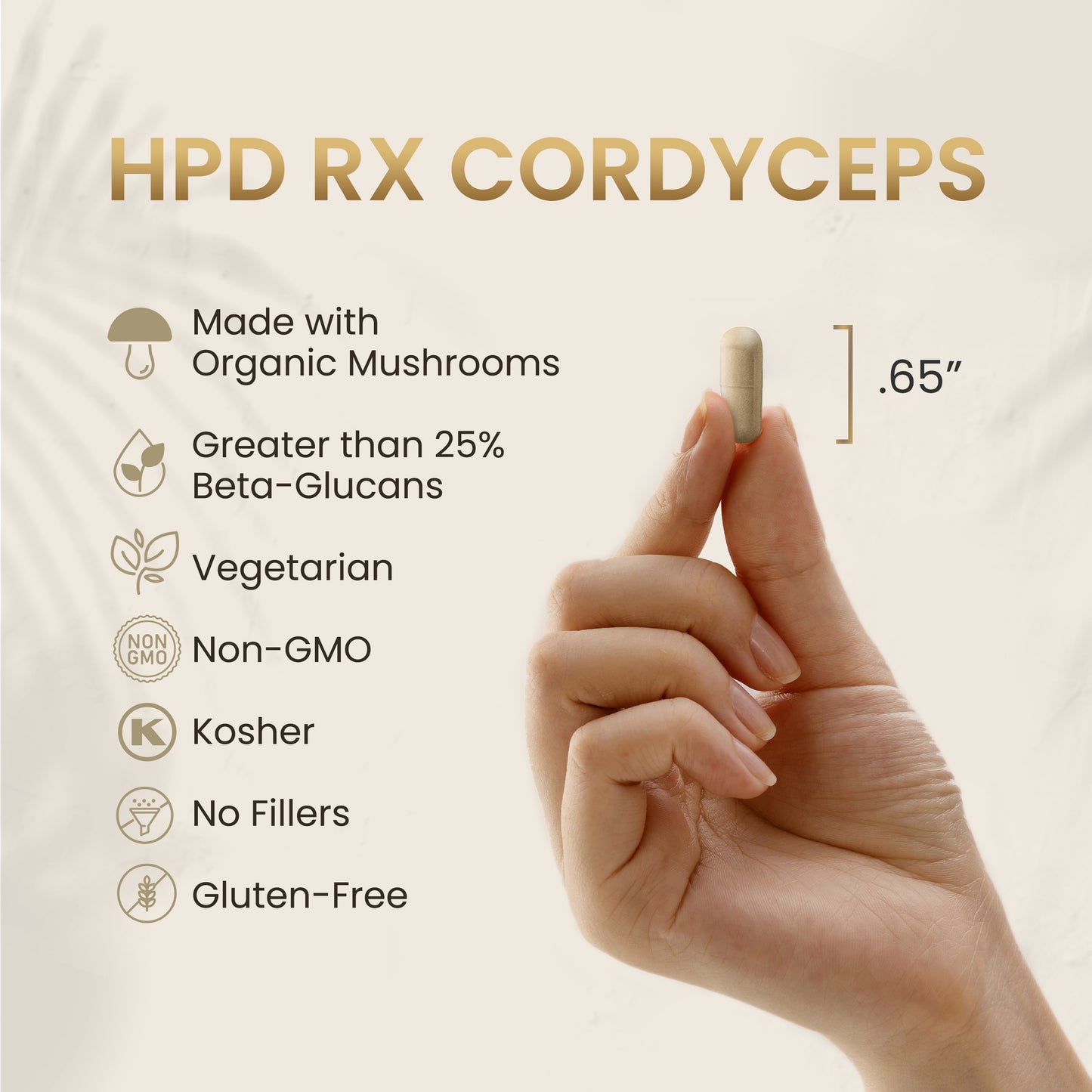 Cordyceps Capsules