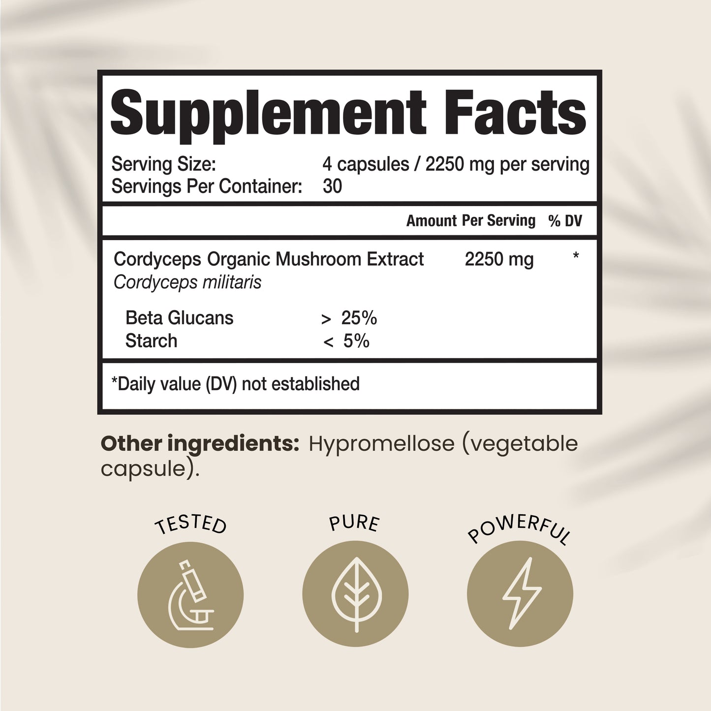 Cordyceps Capsules