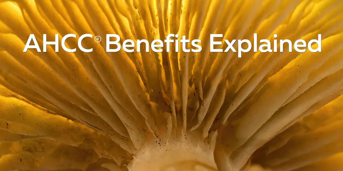 AHCC benefits explained