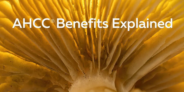 AHCC benefits explained