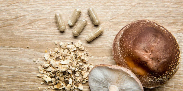 AHCC ingredients cover