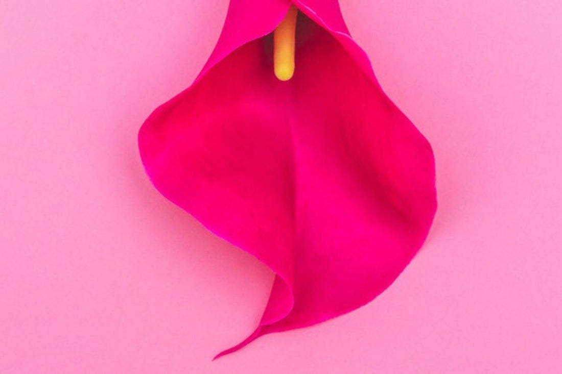 Pro-Fem Vaginal Probiotics Effective in Supporting Balancing Vaginal pH