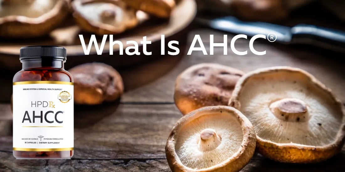 What is AHCC