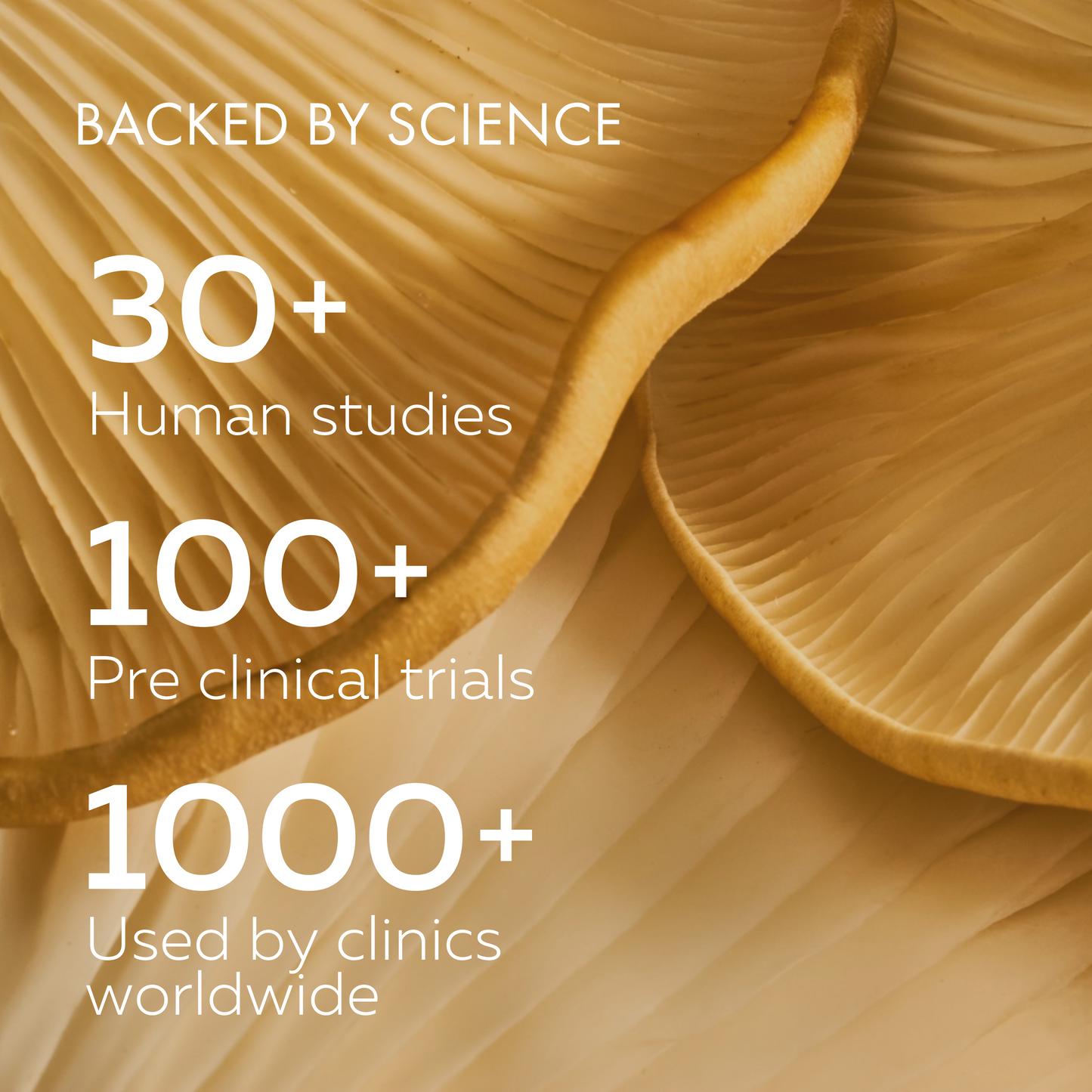 Text about scientific studies and clinical use.