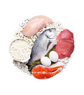 Choline rich foods