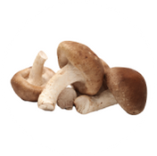 Organic shiitake mushroom