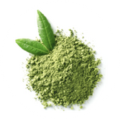 Green tea extract