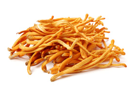 Cordyceps