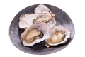 Copper source oysters.