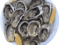 Zinc from oysters
