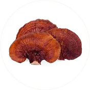 Reishi mushroom