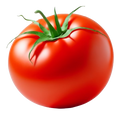 Tomato, a natural source of lycopene