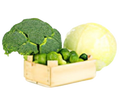 Vitamin A vegetables.