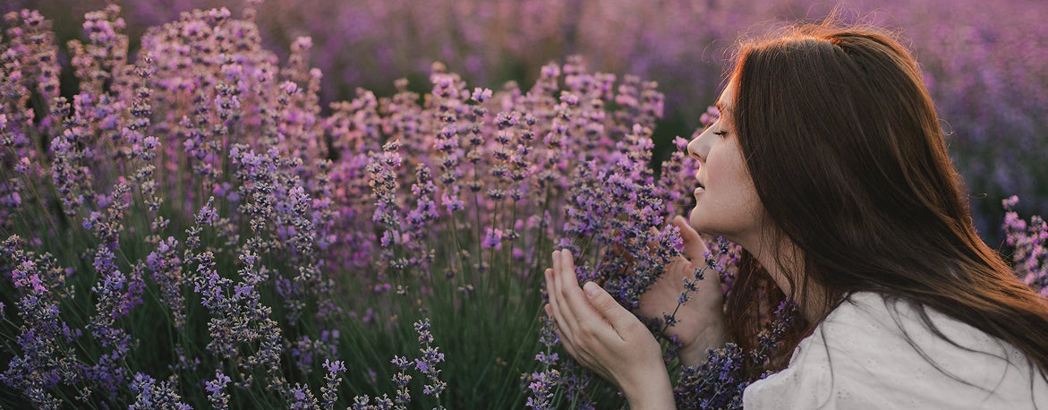 A woman with long brown hair leans in to smell lavender flowers in a field, with purple blossoms and green stems surrounding her.