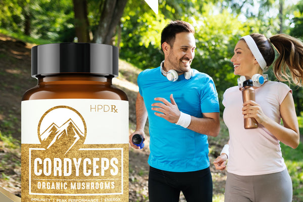 Cordyceps Capsules