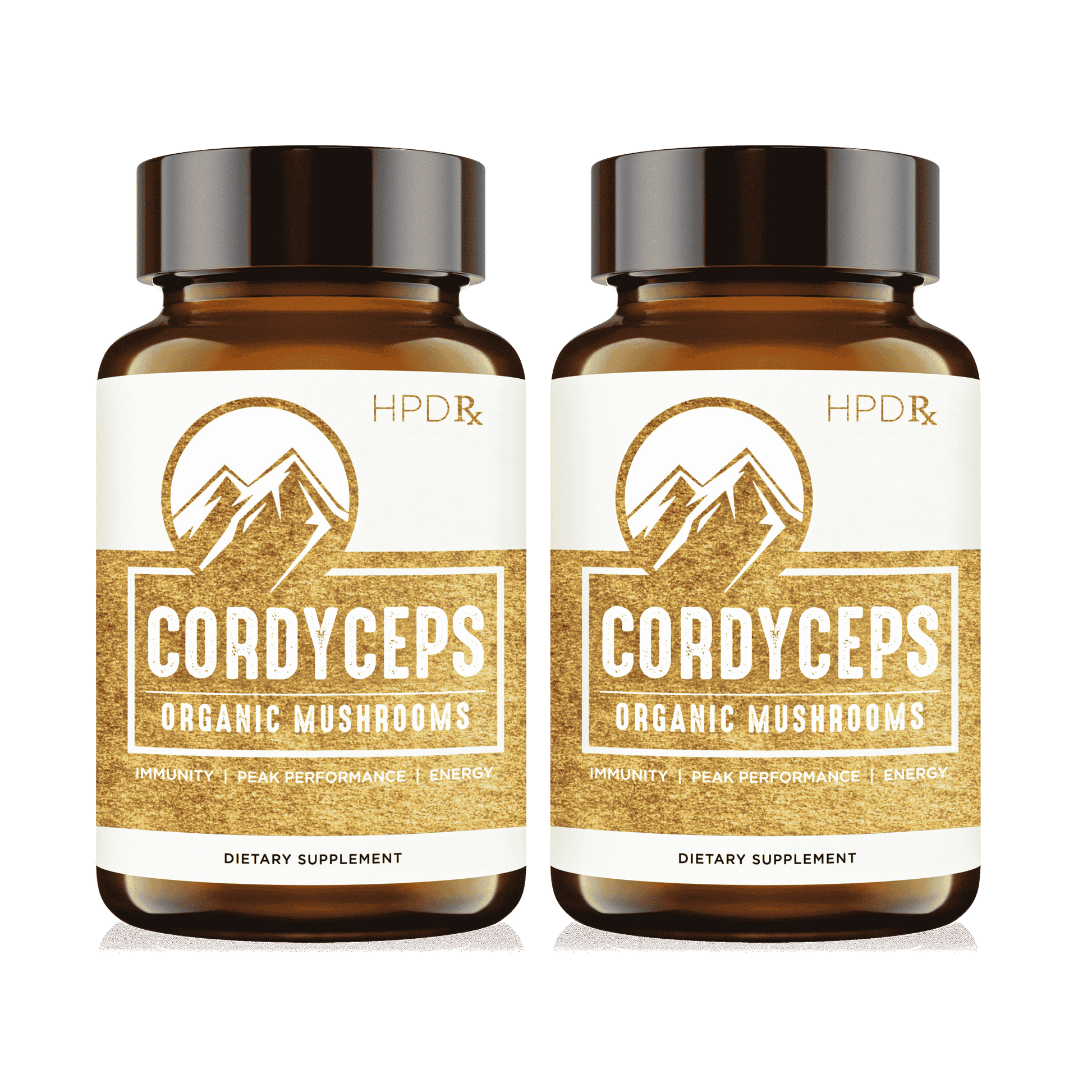 cordyceps glutathione Frontiers Prebiotic properties of polysaccharide extracts